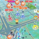 고우고우투어(GOGO TOUR) | 색이 다른 이벨타르 (GO)