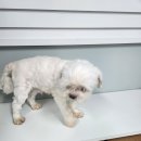 화신종합동물병원 이미지