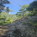 경북 영덕 팔각산(八角山, 628m) 산행 #2 이미지