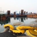 봉래동친수공간 이미지