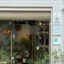 🌷연산 : 부산 연산동꽃집 '마르타의 정원' 꽃다발 포장 후기