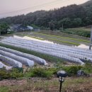 김복희농장 이미지