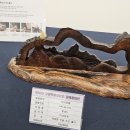 동해시-55 이미지