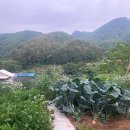 웅이네민박 이미지