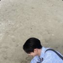 달채움