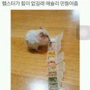 슐리