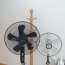신일한의원 네이버블로그