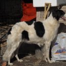 스테이 리네 이미지