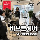 압구정알뜰매장 | 압구정로데오 미용실 비오른헤어, 밝은 염색하러 갔다가 새치염색하고 온 이유 (백하 부원장 솔직 후기)