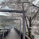 정선사북시장 이미지