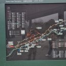 만봉림과 뤄핑 유채 바다의 화려한 여정 이미지