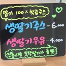 진영농장 | 3살 아이도 성공! 진영 창원 딸기체험 추천, 진돌이팜 딸기수확체험 농장 리얼후기