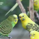 경주버드파크 이미지