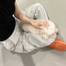 이계절손만두 - 은평구 서오릉로 180 | 가짜 여유에 속아 블로그