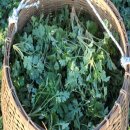 해풍민박 이미지