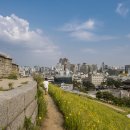 강아지마을2012 이미지