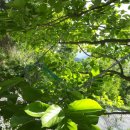 정윤농장 이미지