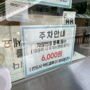 어린이회관 수영장 | 서울 야외 수영장 추천 | 5살 아이랑 어린이회관 수영장 솔직 후기 (준비물 꿀팁)