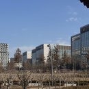 아우룸 | 마곡 발산역 피자파스타맛집 아우룸 방문후기