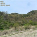 노동리 기두마을 이미지