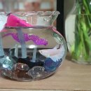 아성1공인중개사사무소 이미지