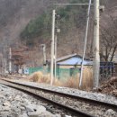 곡성집라인 | 곡성집라인 방문 후기: 한산한 시골마을에서의 여유로운 휴식