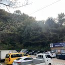 도덕산공원 | 광명 도덕산 출렁다리 주차 주말엔 힘들지만 인공폭포 멋진 곳