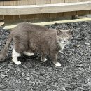 황금성PC방 | 14 - 35일차