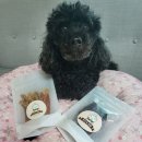 호두네점빵 이미지