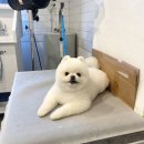 홍글몽글 이미지