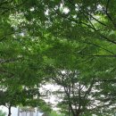 수다1교 이미지