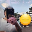 강원도 고성 애견 동반 숙소 명파 아트호텔, 오토캠핑장, 돔 하우스 2번 방 예약 후기