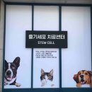 CH동물병원 네이버블로그