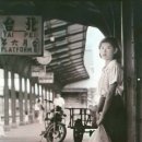 연연풍진 이미지