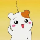 여주-0305 이미지