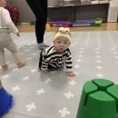 지안상회 이미지