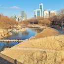 양재천근린공원 이미지