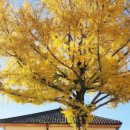 광양역사문화관 이미지