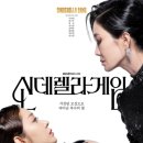신데렐라 - 여수시 | 신데렐라