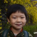 까리따스어린이집 이미지