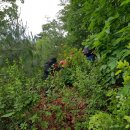 월악주유소 이미지