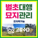 제주벌초
