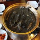 불미골오리 이미지