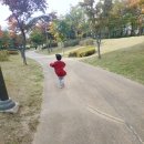 서천레스피아공원 이미지