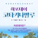 드림피아여행사