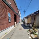 고양이랑놀자 이미지