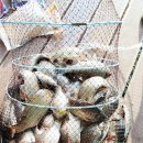 산들펜션 이미지