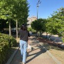 원적산체육공원 이미지