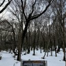우진정비 | 무계획 제주여행 DAY2 - 한라산 등산, 해녀촌 솔직후기, 월정리해수욕장