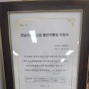 수정한과 이미지